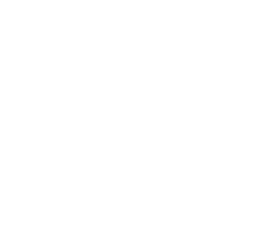 Rent a Food Bike 22 Food BIke