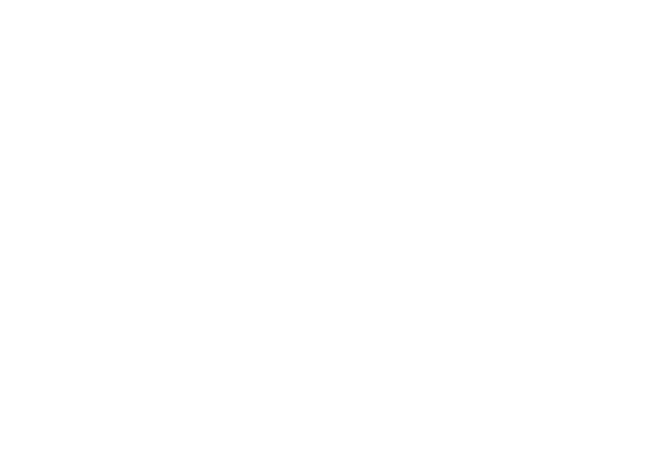 Rent a Food Bike 20 Knoedel Bike